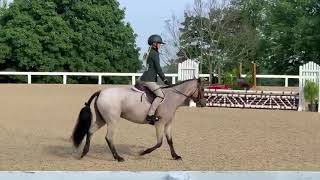 Beaverwoods Thumblina small pony for lease [upl. by Villada]