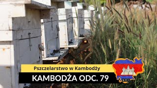 Kambodża  Pszczelarstwo w Kambodży odc 79 [upl. by Atilehs]