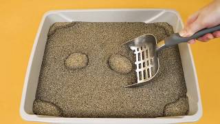 How to Use ARM amp HAMMER™ SLIDE™ Cat Litter [upl. by Oirogerg98]