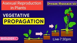 🔴🔴VEGETATIVE PROPAGATION🔴🔴ASEXUAL REPRODUCTION IN PLANTS🔴L03🔴10TH🔴 [upl. by Engeddi]