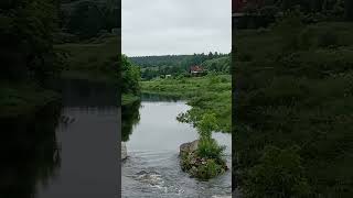 🏡 House on the River Bank 🌳 [upl. by Rennie647]