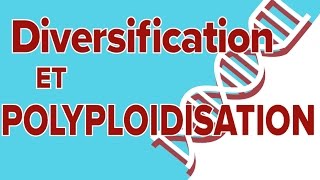 Diversification et Polyploïdisation 2  SVT Terminale S  Mathrix [upl. by Nwahsad]