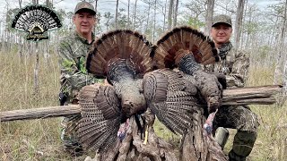 Public Land Osceola Double  Florida Turkey Hunt [upl. by Lugar668]