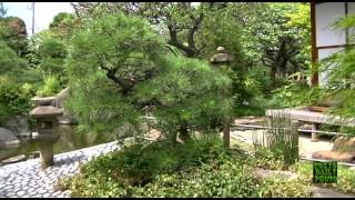 japanese garden Narimasu Tokyo [upl. by Hamitaf]