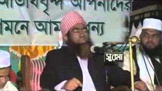 Maulana Jubaer Ahmed Ansari Bangla waz 2014 [upl. by Mochun]