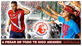 Tiburones Rojos Porra LLega la Barra Loca Descontrolada [upl. by Salkin]