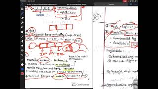 Introduction to Cestodes [upl. by Winonah]