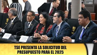 TSE presenta la solicitud del presupuesto para el 2025 [upl. by Eceryt366]