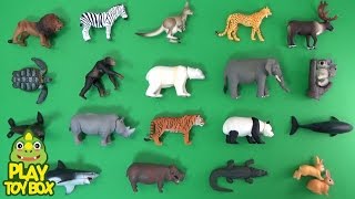 Learning Animal Names and Sounds for kids with Animal Adventure Takara Tomy Toys KOR [upl. by Leiahtan597]