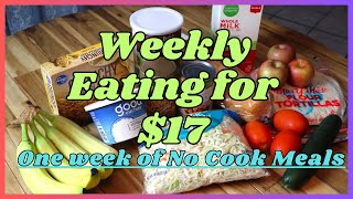 No Cook Meals for 8 Days Weekly Eating for 1745 Bucks [upl. by Disraeli]