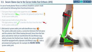 EN The Right Orthosis in case of a Combined Weakness of the Dorsiflexors and Plantar Flexors 24 [upl. by Duster]