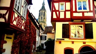 Die Schloßkirche in Meisenheim am Glan  29102016 [upl. by Launame]