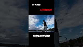 Wie aus dem Lehrbuch fishing hecht carpfishing angeln fish hechtangeln bassfishing tauchen [upl. by Trainor]