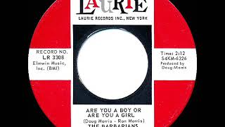 1965 HITS ARCHIVE Are You A Boy Or Are You A Girl  Barbarians [upl. by Boeke]