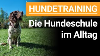 🐕🐶 HUNDETRAINING  Die Hundeschule im Alltag zum Hunde Trainieren 🐕🐶✔️ [upl. by Lucias]