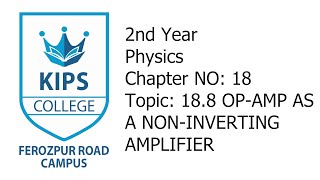 OPAMP as a Non Inverting Amplifier  2nd Year Physics  Chapter No 18 [upl. by Hagen]