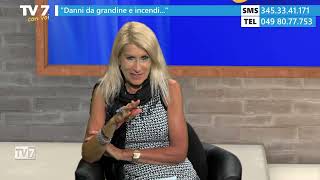 Danni da grandine e incendio  Tv7 con Voi 2724 1 di 2 [upl. by Akemit]