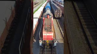 Br 296 von der DB Cargo seelze freighttrain oldtrain trainspotting [upl. by Lira]