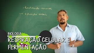 O que é Mitocôndria  Extensivo Biologia  Descomplica [upl. by Clein]