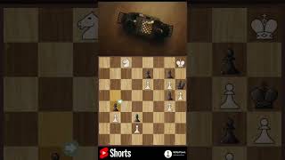 Most Unique knight underpromotion checkmate chess magnuscarlsen gothamchess [upl. by Mita]