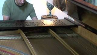 Chopin  Barcarolle Op60 played by Olivier Mallory on Erard concert grand piano 1880 [upl. by Irrot470]