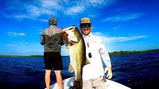 Late Summer Lake Okeechobee Fishing Report [upl. by Oilicec67]