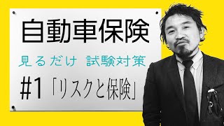 1【自動車保険】★商品資格★ ”見てるだけで受かる” ★損保募集人試験★「リスクと保険」 [upl. by Iramaj]