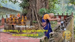 അമ്മയുടെ വാത്സല്യം ഏറ്റുവാങ്ങുന്ന നാഗത്താന്മാർ l Amma Bhaaratham l മണ്ണാറശ്ശാല ആയില്യം നാൾ  2020 [upl. by Philipson857]