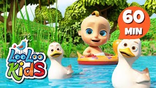 Five Little Ducks  S2EP58 Musical Adventure Collection  LooLoo Kids Songs for Kids [upl. by Leif]