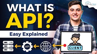 What is API and How does it Work  Application Programming Interface Fully Explained [upl. by Samaj]