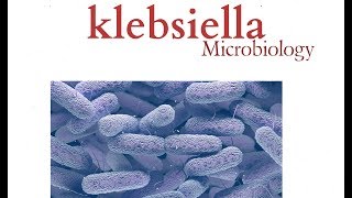 Klebsiella  Microbiology  K pneumonia  Bacteria [upl. by Essilevi]