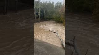 Santa Rosa Creek bursting with water Friday morning [upl. by Tinor]