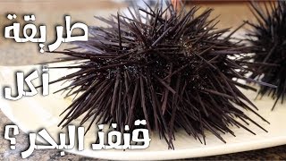 طريقة اكل قنفذ البحر How to eat Sea Urchin [upl. by Platt]