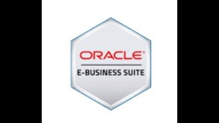 Oracle EBS Basics [upl. by Kalam23]