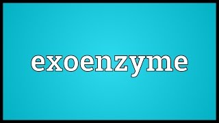 Exoenzyme Meaning [upl. by Janeen]