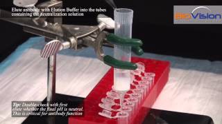 Antibody Purification Video  Biovision Inc [upl. by Gebler944]