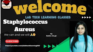 staphylococcus Aureus morphologyvirulence factor pathogenesisdiagnosisdetailsmltmicrobiology [upl. by Ratib701]