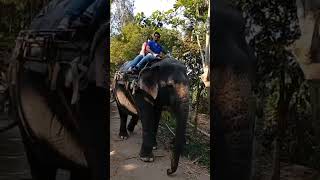 kerala ThekkadyElephant RideFeeling Awesome [upl. by Xel]