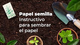 🌱 Papel Semilla El papel que se planta [upl. by Allyn]