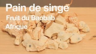 Pain de singe  tas déjà goûté [upl. by Hgielhsa]