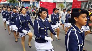 Desfile militar de 7 de setembro Arapiraca Alagoas [upl. by Aliet]