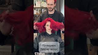 проверяем теорию волос тгк Anthonytrihologist hairstyle hair haircut hairtransformation [upl. by Biddle27]