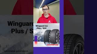 Roadstone Winguard Ice Plus  SUV шиномонтаж шины авто [upl. by Vassar808]