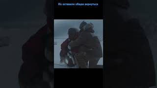 husky хаски белыйплен eightbelow animalshorts dogsshorts animalsvideo лайки movie husmut [upl. by Bolme]