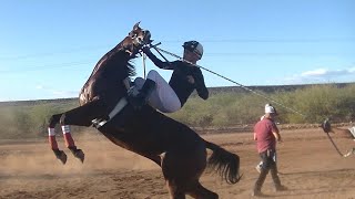 Carreras de Caballos en Tepache 14 Octubre 2023 [upl. by Trudnak]