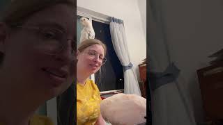 Cockatoo Chronicles A Day with Misha amp Boo  Cuteness Overload 🐦💕 BirdTales [upl. by Kcirdef326]