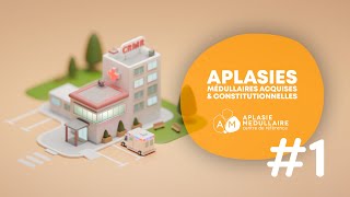 🏥 1 Centre de Référence Maladies Rares Aplasies médullaires acquises et constitutionnelles [upl. by Moira]