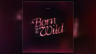 CRMNL  quotBorn To Be Wildquot Official Audio [upl. by Yendyc]