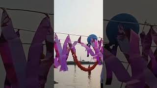 Sitli bayariya sital doje paniya chhaatpuja special bhojpuri song shotrs video 🙏🙏🪔🪔 [upl. by Nioe232]