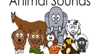 Animal Sounds Song for Toddlers  What Animal Am I  Kids Learning Videos [upl. by Lleirbag]